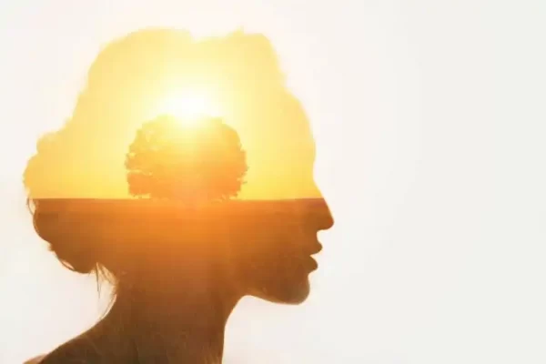 La cognition est-elle saisonnière ?