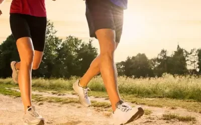 Habitudes : 6 clés pour les garder
