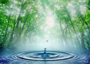 Celui qui sert : restez dans les vibrations supérieures
