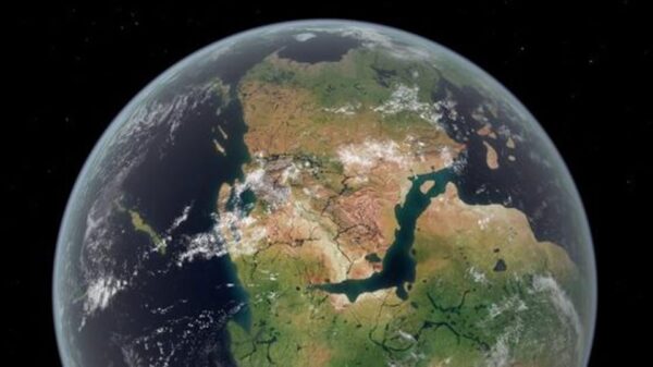 Sous l’océan, le mouvement des continents a orchestré l’évolution du vivant