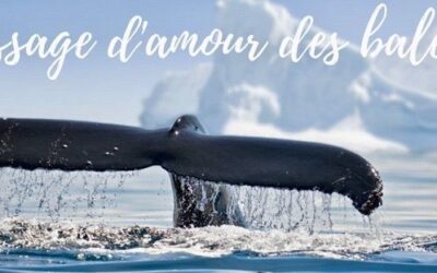 Une vertu si importante à cultiver à tous les jours