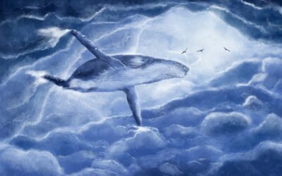 Message des baleines à bosse: la fin de la saison pour un nouveau commencement