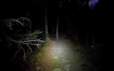 Le chemin…