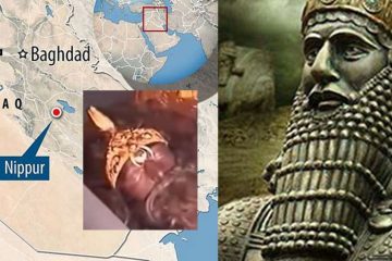 7 scientifiques Anunnaki endormis se réveillent