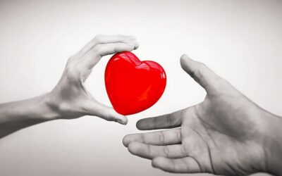 Comment changer l&rsquo;HUMANITÉ avec de PETITS GESTES au quotidien ?