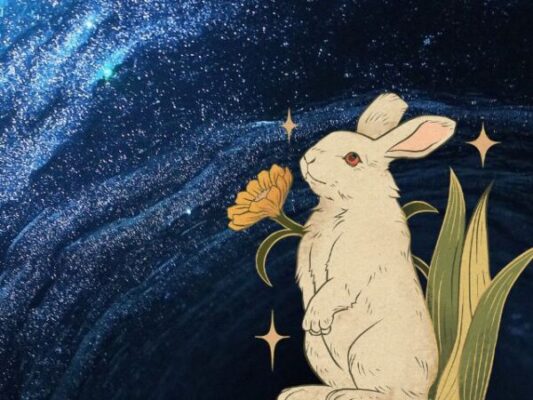 Astrologie chinoise : Année du Lapin d&rsquo;Eau Yin