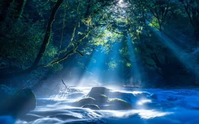 Terre Mère, Source, Mère Marie, El Morya, Haut Conseil Arcturien : La Vérité de Dieu est toujours debout