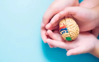 La conception universelle de l&rsquo;apprentissage : des opportunités pour tous