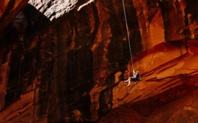 Les Hautes cavernes de lumière (2/3)