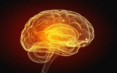 Schizophrénie et troubles vasculaires du cerveau