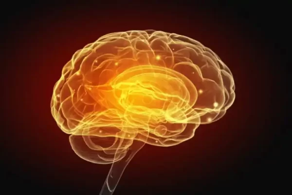 Schizophrénie et troubles vasculaires du cerveau