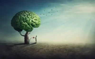 Les Arboriens : qu&rsquo;est-ce qu&rsquo;une société inclusive ?