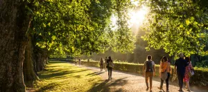 Travailler avec les énergies de la nature
