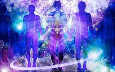 Au Collectif des Travailleurs de Lumière de l’Ascension