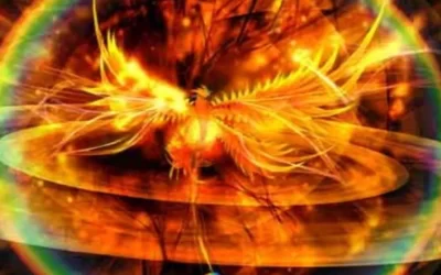 Le Cycle du Phénix, le destin du monde et l’accélération de la Fin des Temps