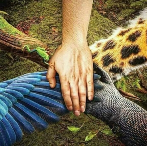 Rituel de libération, plantes et animaux.