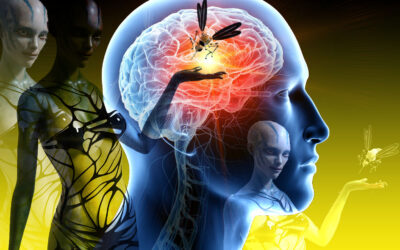 Le cerveau reptilien
