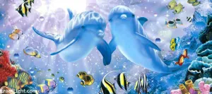 Baleines de Sirius B : relier les points d&rsquo;ancrage de la lumière et de l&rsquo;équilibre