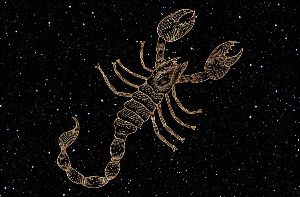 Votre horoscope pour la saison du Scorpion d’octobre à novembre 2023 par Tanaaz