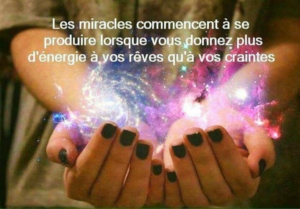 La vie aime la création