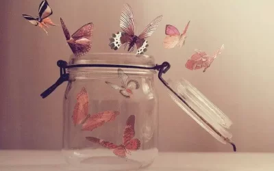 Ne vous attardez pas là où vous ne pouvez pas aimer