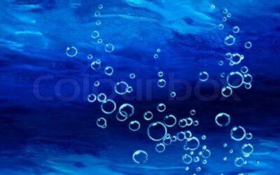 Delphinia – Esprit des Eaux des Profondeurs