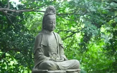 Zazen, le secret du zen