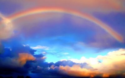 Lee Degani : le message de l&rsquo;arc-en-ciel